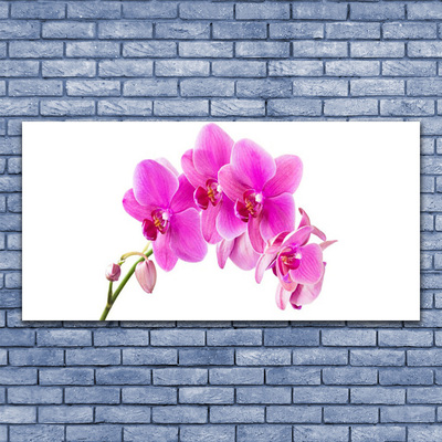 Billede i glas Orchid Flower Orchid