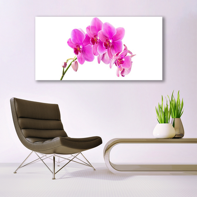 Billede i glas Orchid Flower Orchid