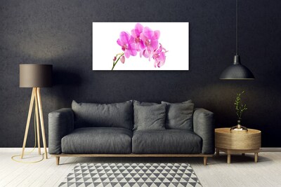 Billede i glas Orchid Flower Orchid