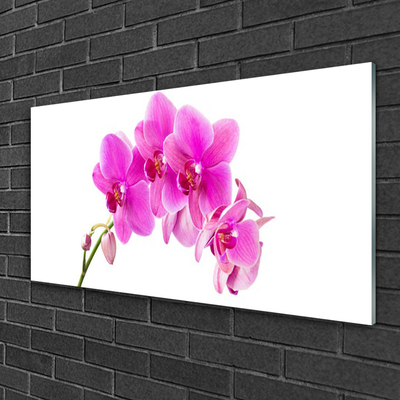 Billede i glas Orchid Flower Orchid