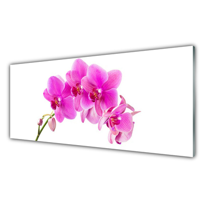 Billede i glas Orchid Flower Orchid