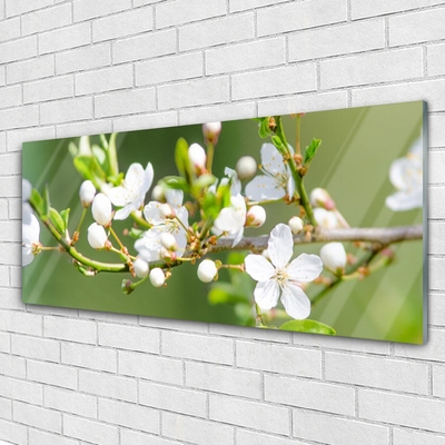 Glasbillede Blomster Grene Blade Frugthave