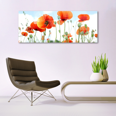 Glas billede Blomster Valmuer Eng Mark Natur