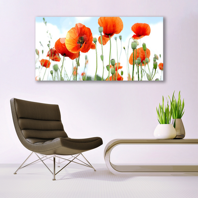 Glas billede Blomster Valmuer Eng Mark Natur