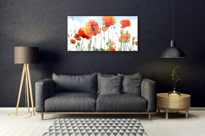 Glas billede Blomster Valmuer Eng Mark Natur