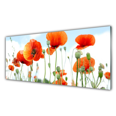 Glas billede Blomster Valmuer Eng Mark Natur