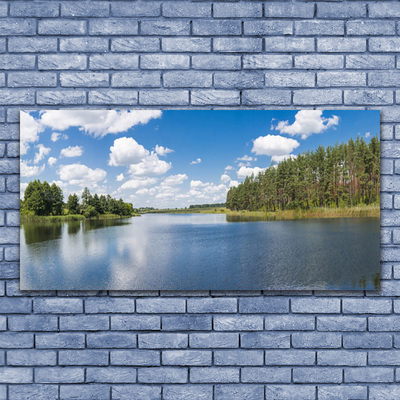 Print på glas Sø Skov Landskab