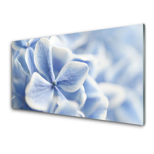 Glasfoto Kronblad Blomster Natur