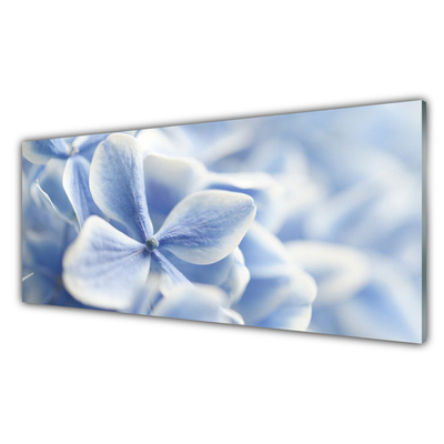 Glasfoto Kronblad Blomster Natur