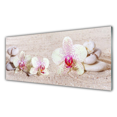 Billede i glas Orchid Orchid Sand