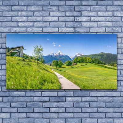 Glasbillede Mountains Meadow Valley Path