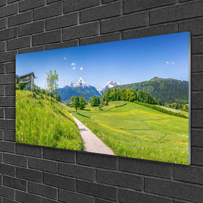 Glasbillede Mountains Meadow Valley Path