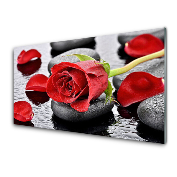 Glasbillede Red Rose Flower