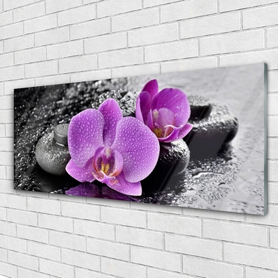 Billede i glas Orchid Flowers Orchid Spa