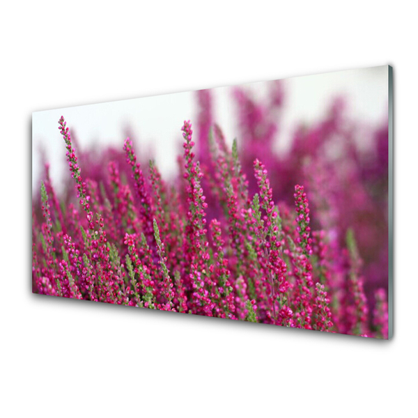 Glasfoto Blomster Eng Natur Plante