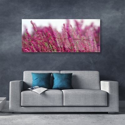 Glasfoto Blomster Eng Natur Plante