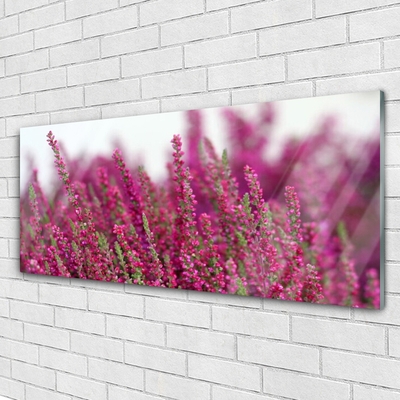 Glasfoto Blomster Eng Natur Plante