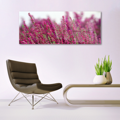 Glasfoto Blomster Eng Natur Plante