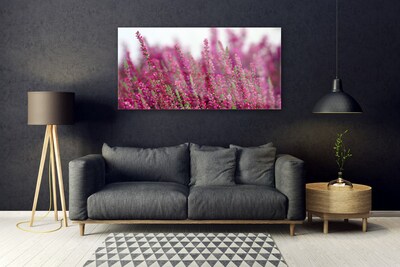 Glasfoto Blomster Eng Natur Plante