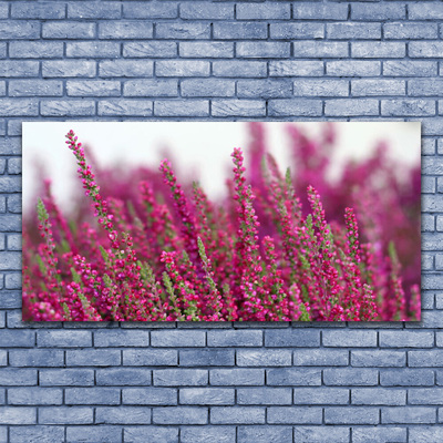 Glasfoto Blomster Eng Natur Plante