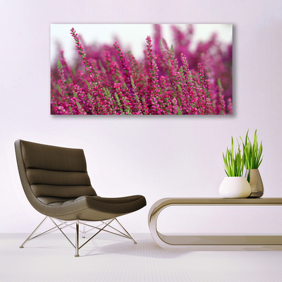 Glasfoto Blomster Eng Natur Plante