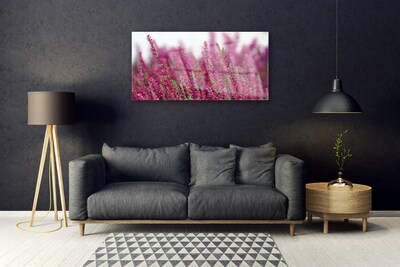 Glasfoto Blomster Eng Natur Plante