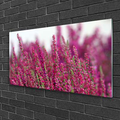 Glasfoto Blomster Eng Natur Plante