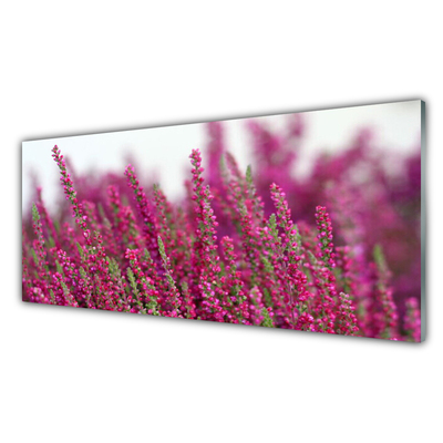 Glasfoto Blomster Eng Natur Plante