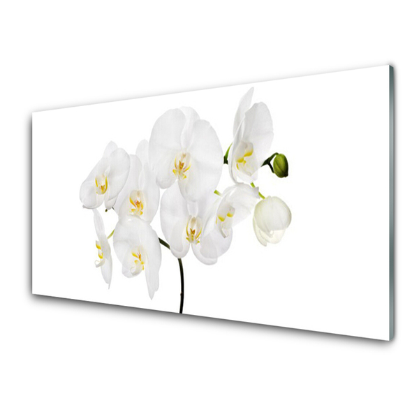 Billede glas White Orchid Flowers