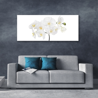 Billede glas White Orchid Flowers