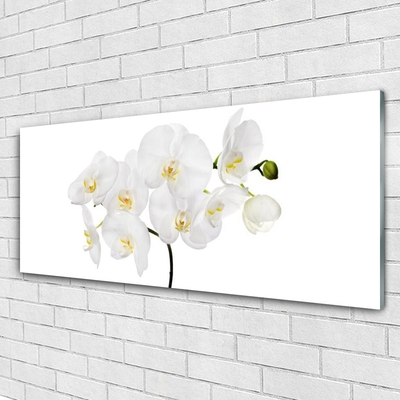 Billede glas White Orchid Flowers