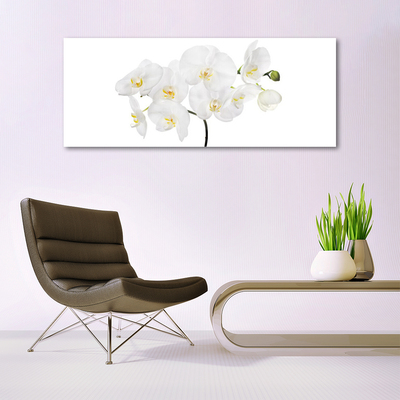 Billede glas White Orchid Flowers