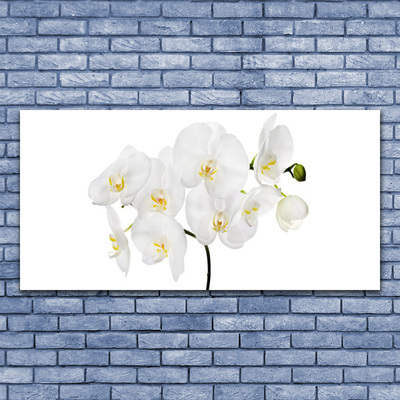 Billede glas White Orchid Flowers