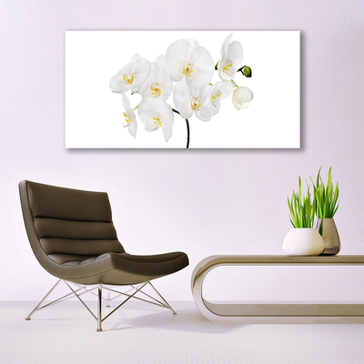 Billede glas White Orchid Flowers