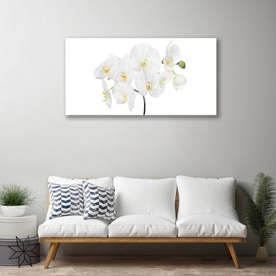 Billede glas White Orchid Flowers