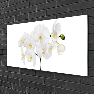 Billede glas White Orchid Flowers