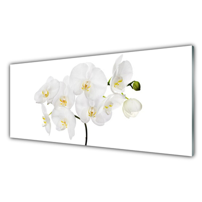 Billede glas White Orchid Flowers