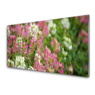 Glasbillede Blomster Mark Eng Natur