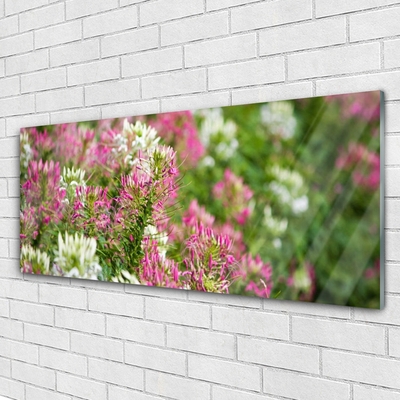 Glasbillede Blomster Mark Eng Natur