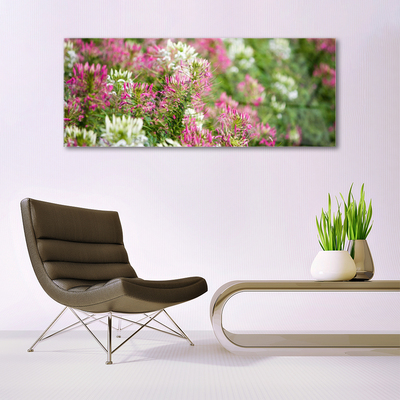 Glasbillede Blomster Mark Eng Natur