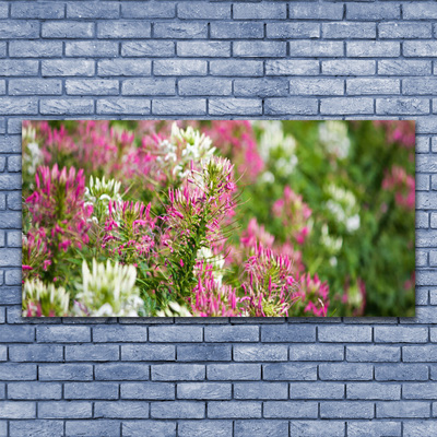 Glasbillede Blomster Mark Eng Natur