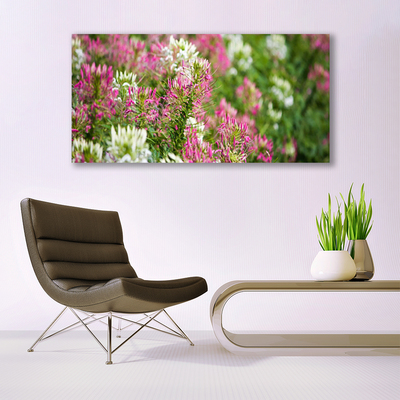 Glasbillede Blomster Mark Eng Natur