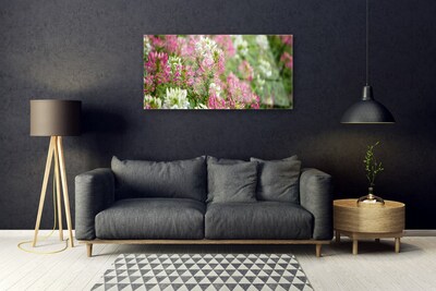 Glasbillede Blomster Mark Eng Natur