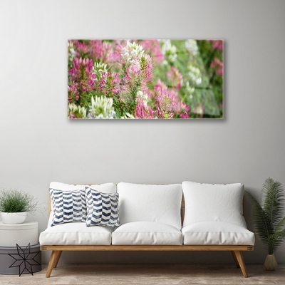 Glasbillede Blomster Mark Eng Natur