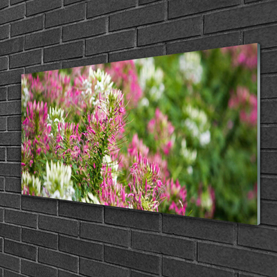 Glasbillede Blomster Mark Eng Natur