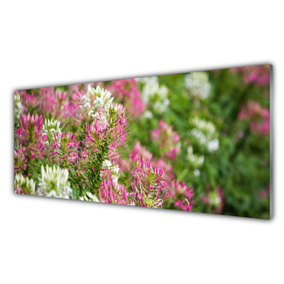 Glasbillede Blomster Mark Eng Natur