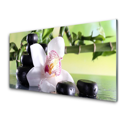 Glasfoto Orchid Stones Bamboo