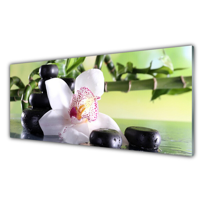 Glasfoto Orchid Stones Bamboo