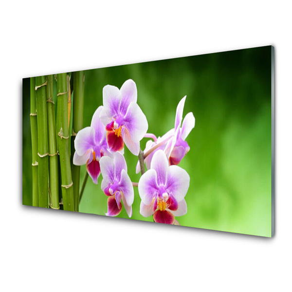 Billede i glas Bamboo Orchid Zen Flower