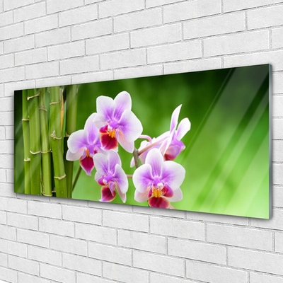 Billede i glas Bamboo Orchid Zen Flower